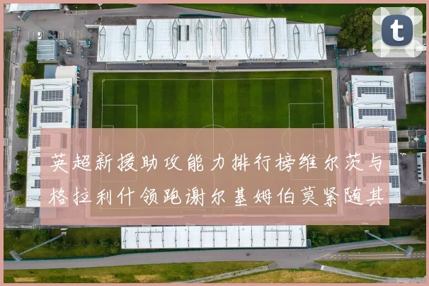 英超新援助攻能力排行榜维尔茨与格拉利什领跑谢尔基姆伯莫紧随其后