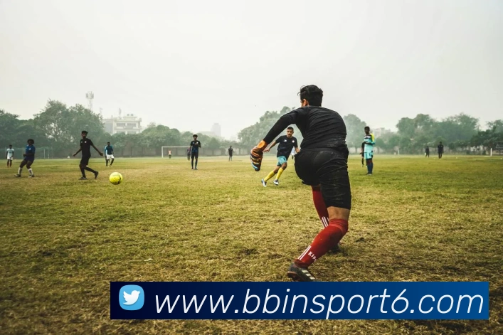 BBIN体育平台生态图